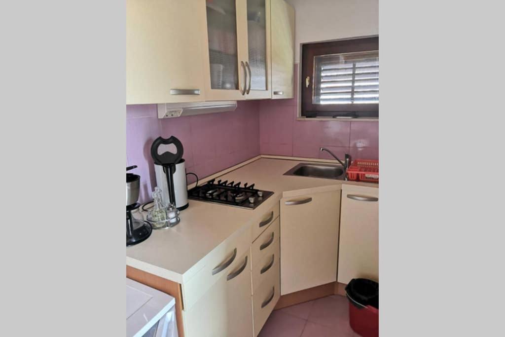 Apartment Bel Vista روغوزنيكا المظهر الخارجي الصورة